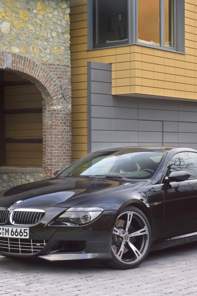 Schnitzer 2006 Вид спереди