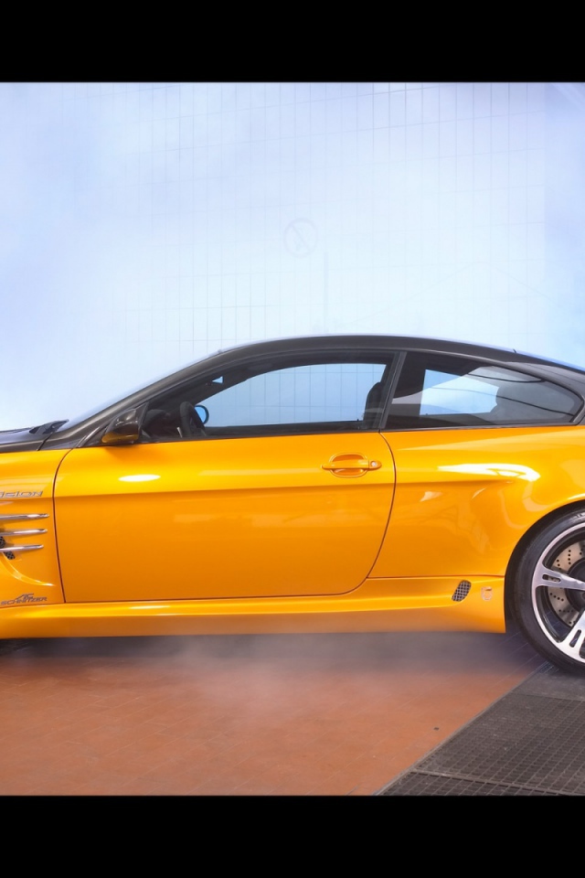 Schnitzer желто черный вид сбоку