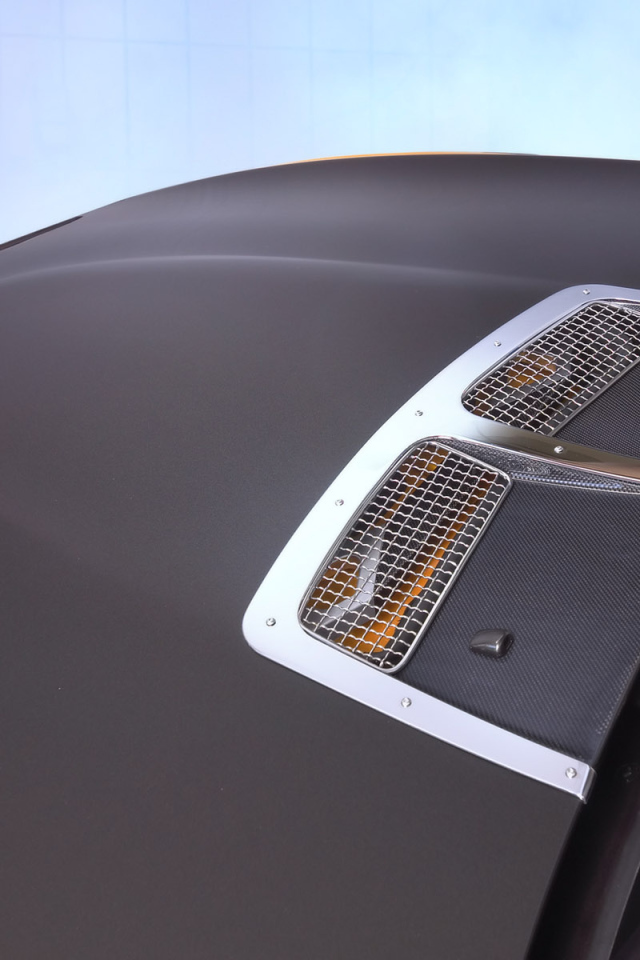 Капот Schnitzer