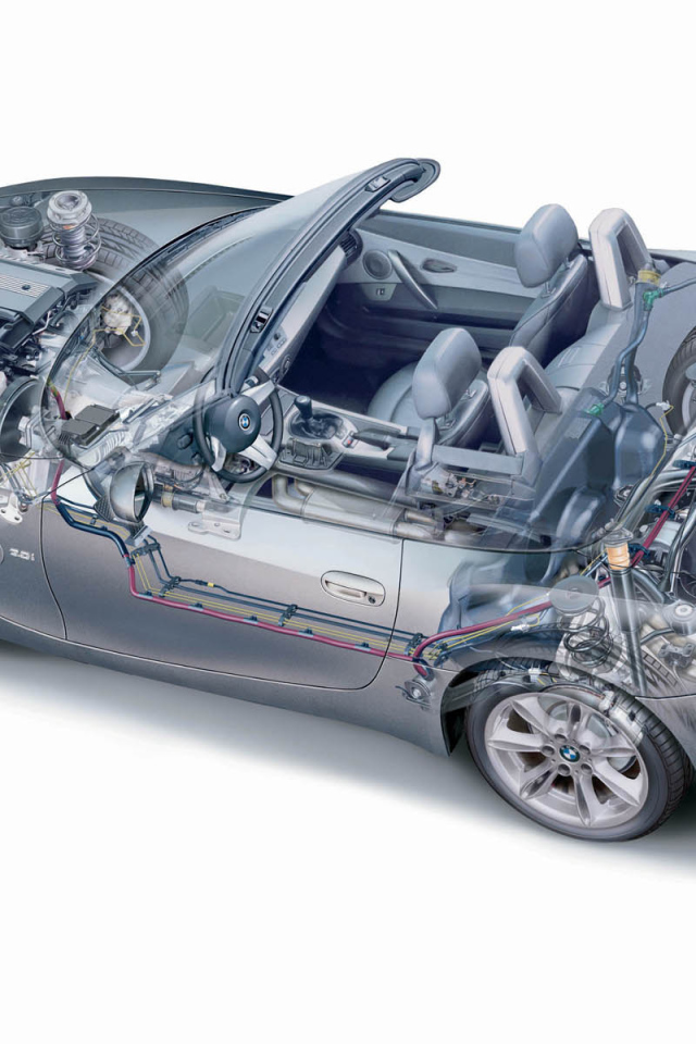 Z4 Organic рисунок