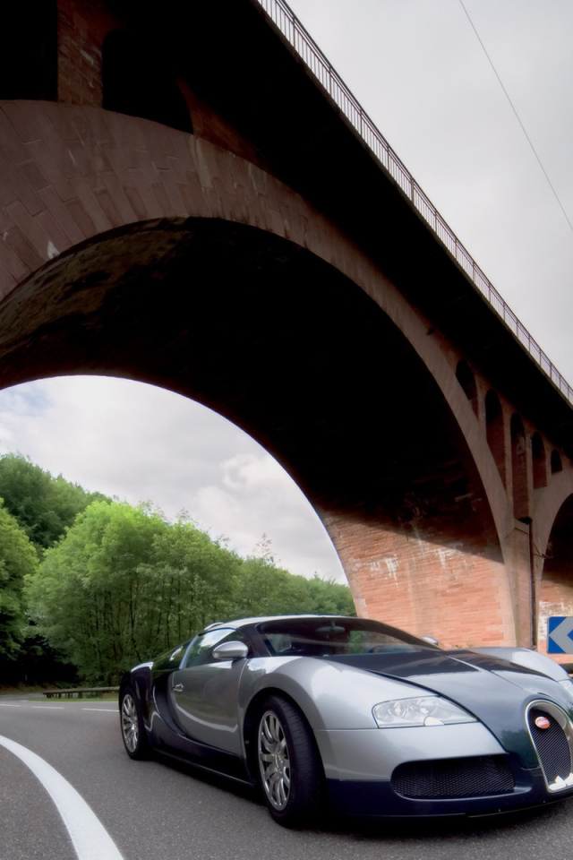 Veyron под мостом