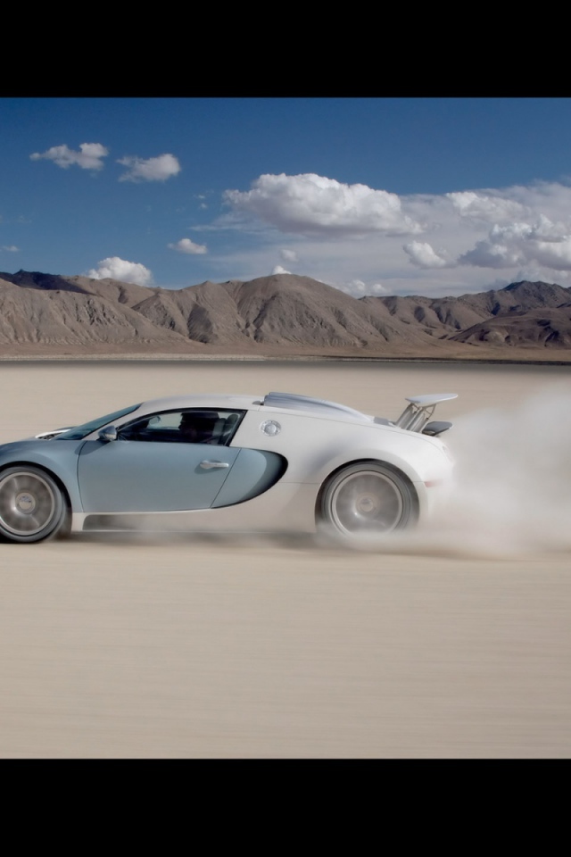 Гонки в пустыне на Bugatti Veyron