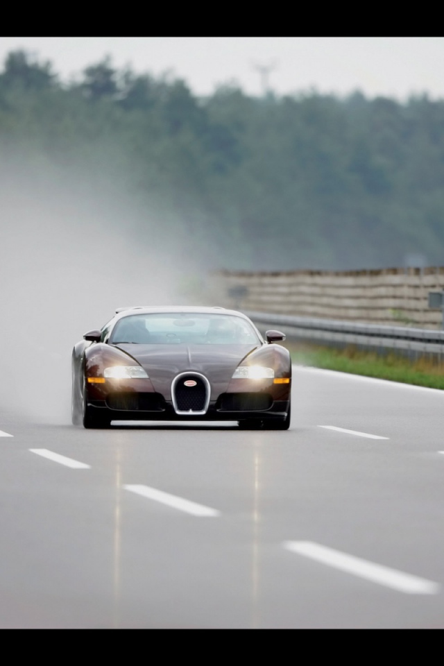Veyron во время дождя