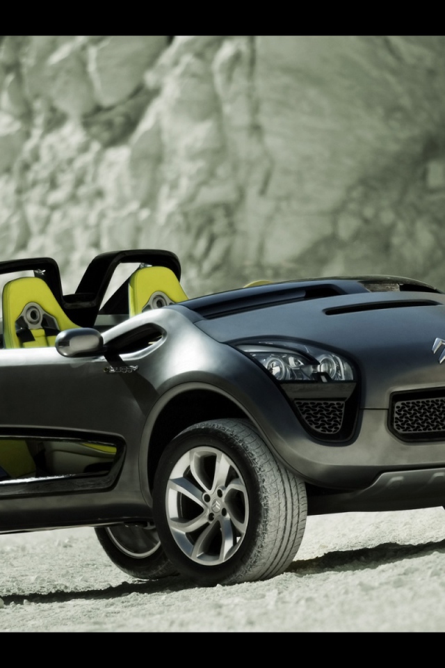 Ситроен Buggy