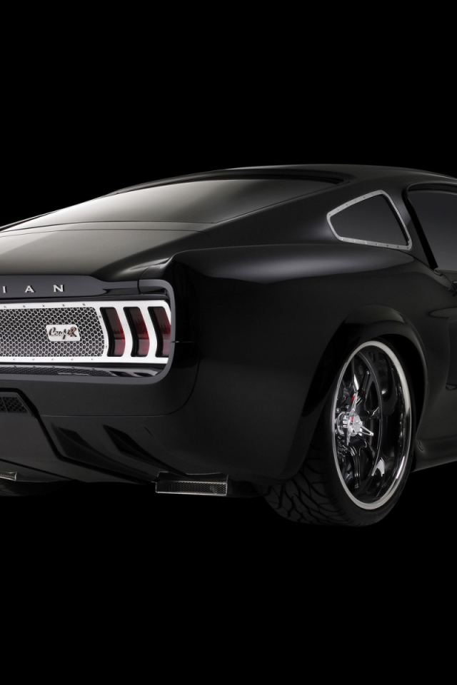 Форд вид сзади