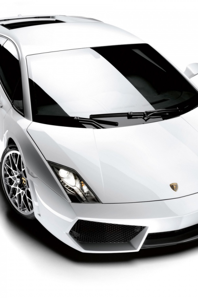 Белый Lamborghini Gallardo