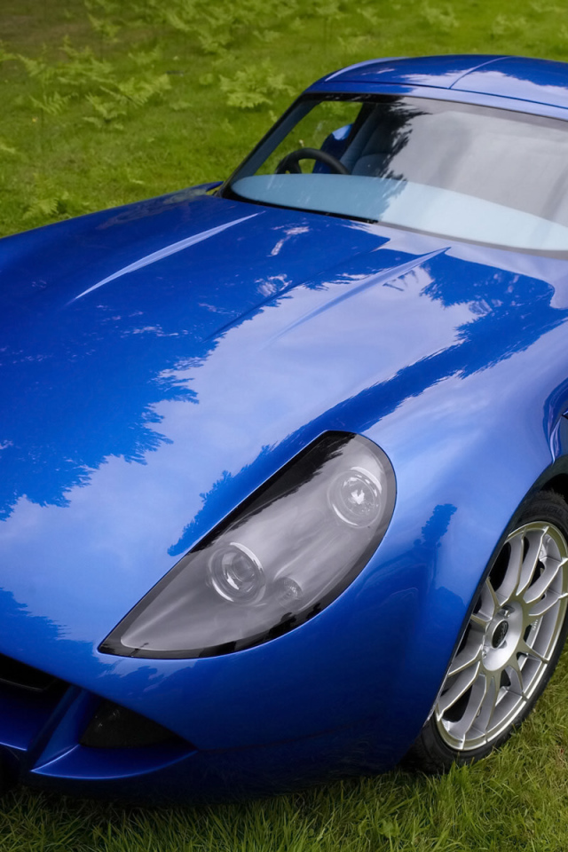 Синий Marcos TSO