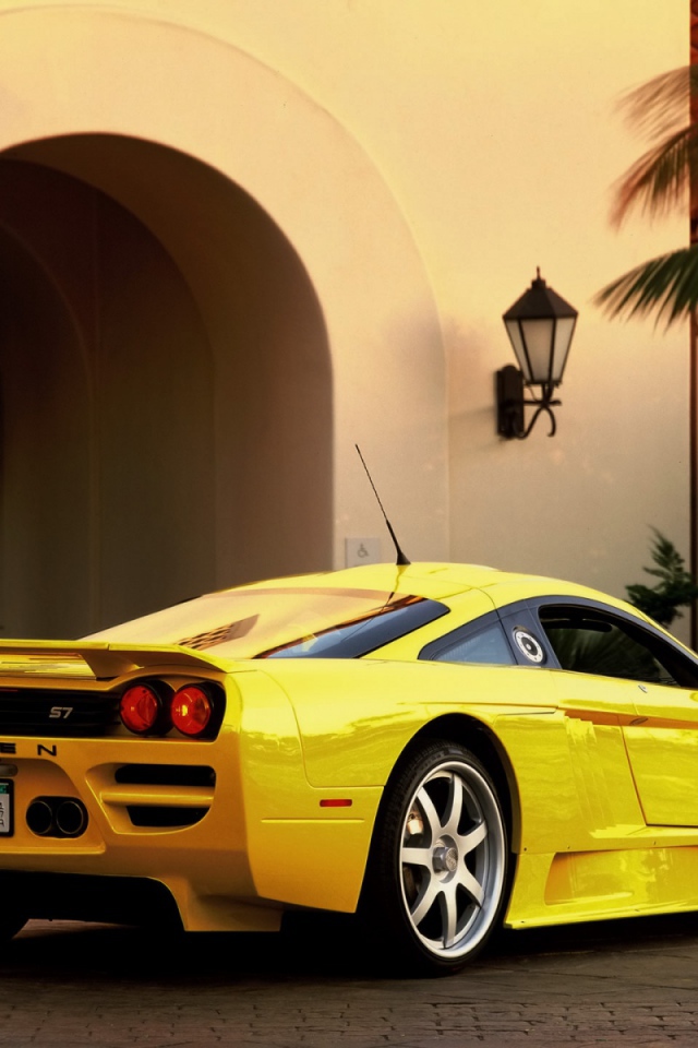 Saleen вид сзади