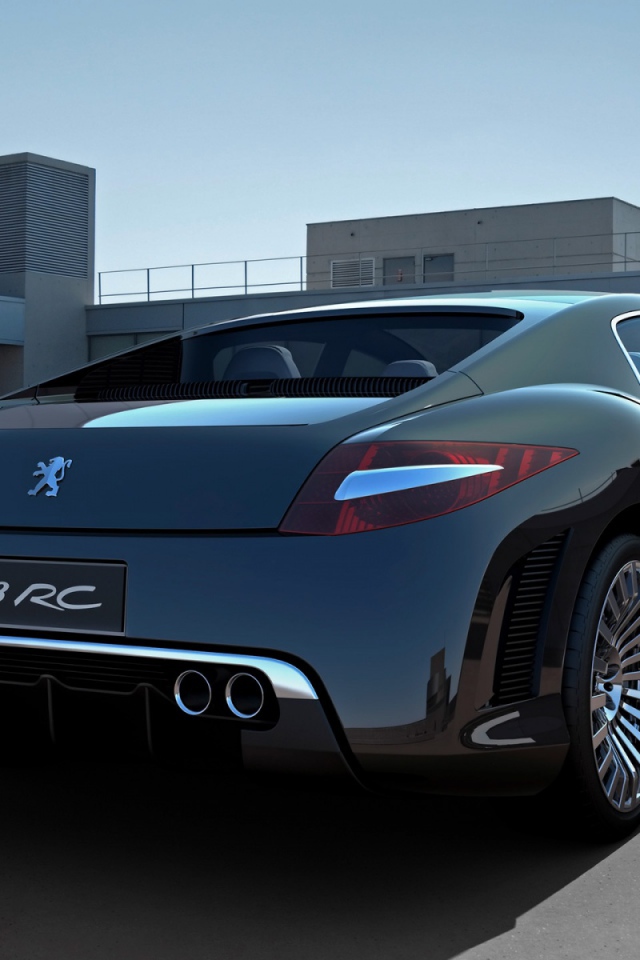 Зад Peugeot 908 RC