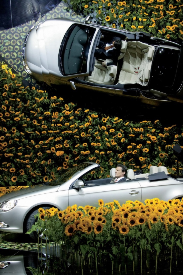 Volkswagen в цветах