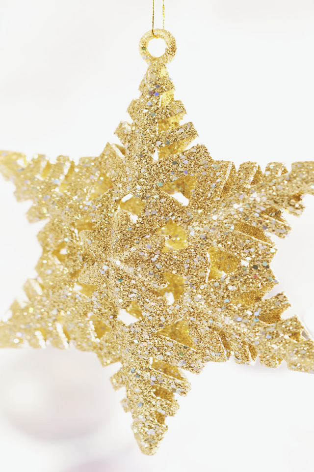 Рождественская звездочка