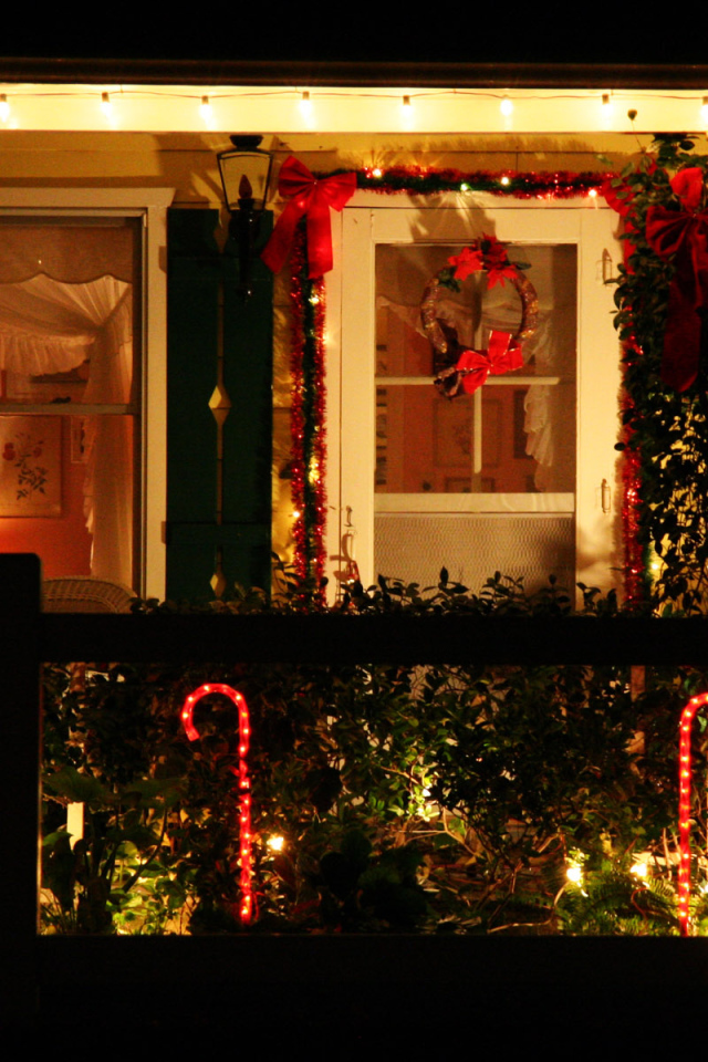 Украшение улицы  / Рождество