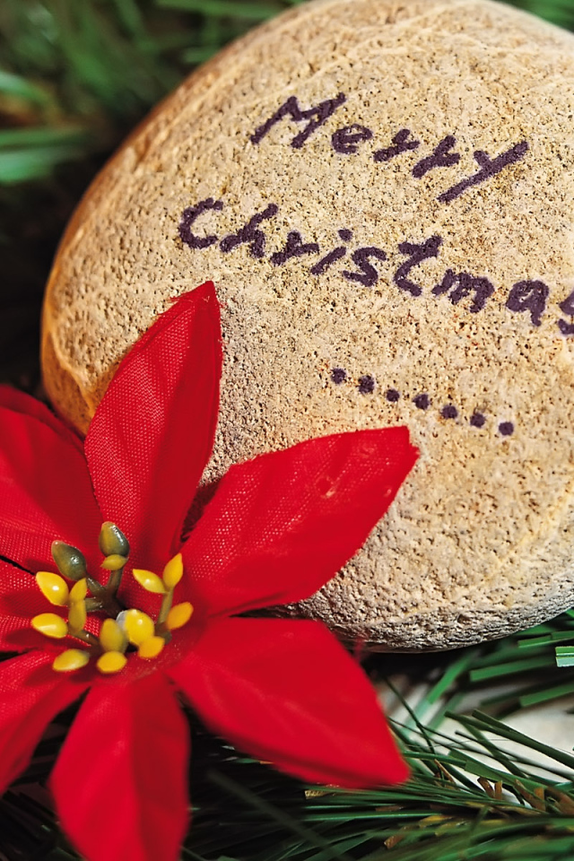 С праздником / Рождество