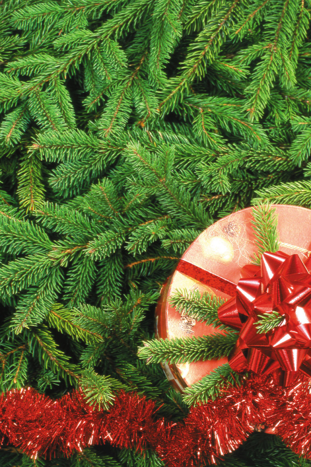 Подарок на Рождество / Рождество