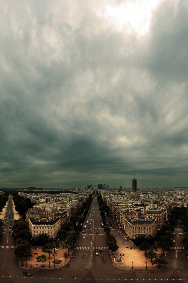 Дикий город