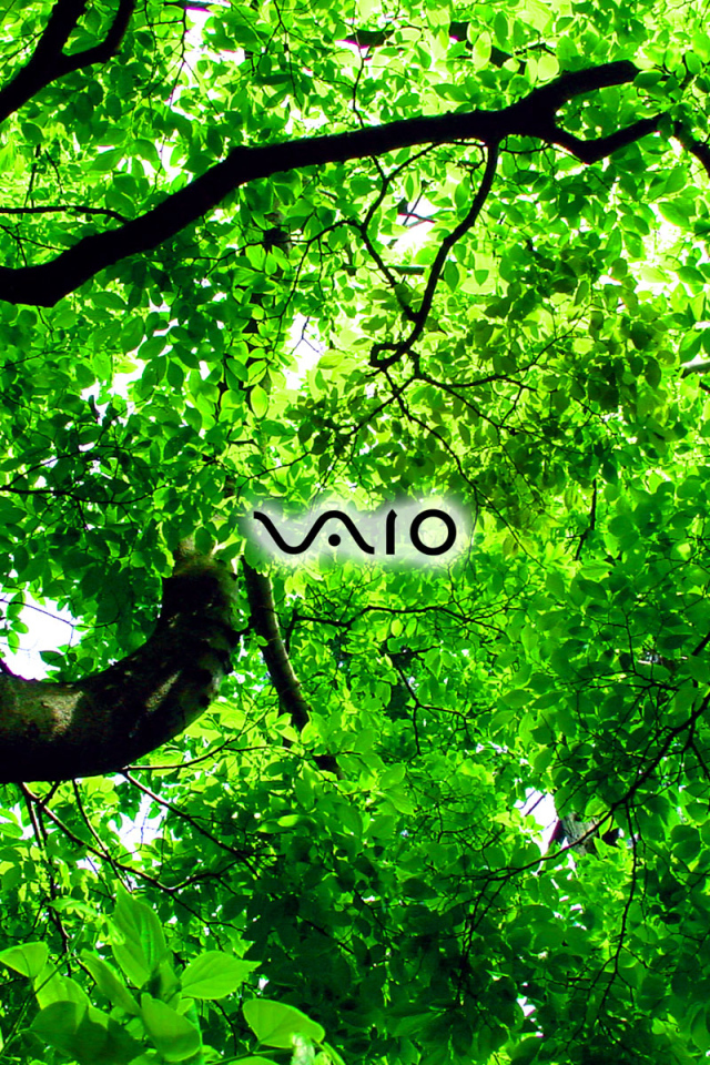 Производитель лоптопов Sony