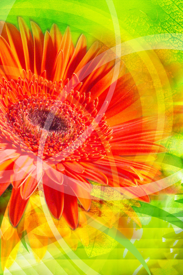 Красное сияние