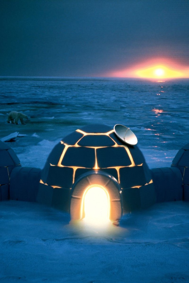 Хай тек иглу