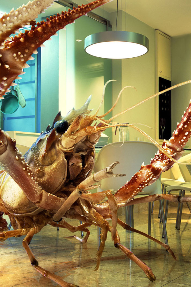 Огромный рак