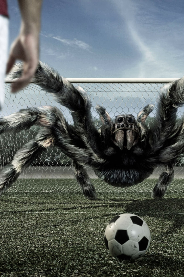 Многорукий вратарь