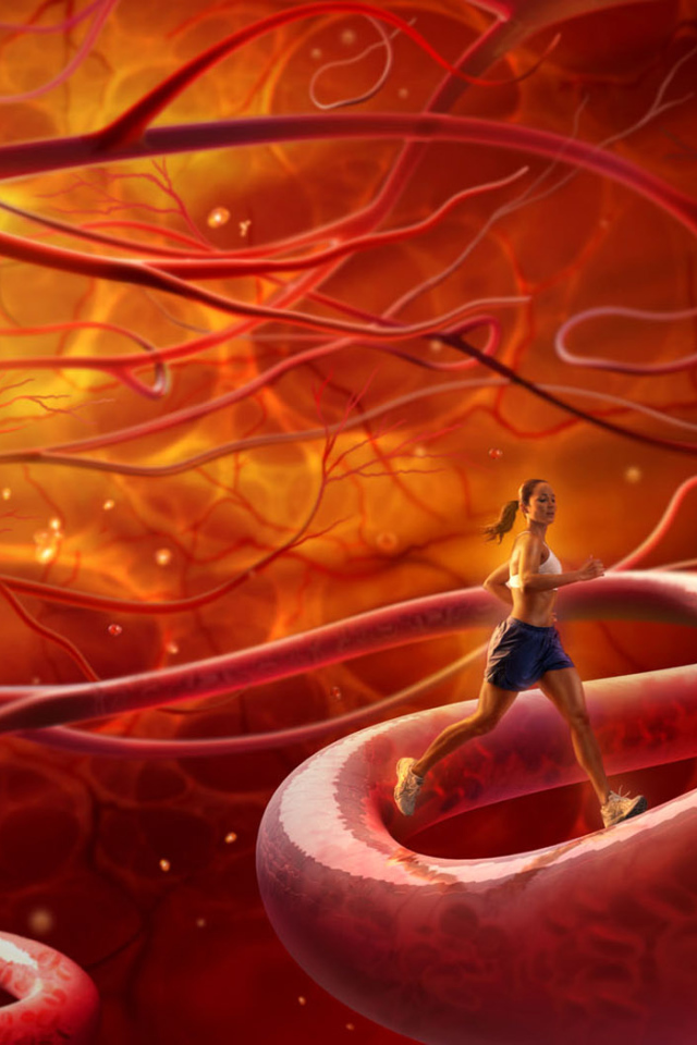 Тренировка