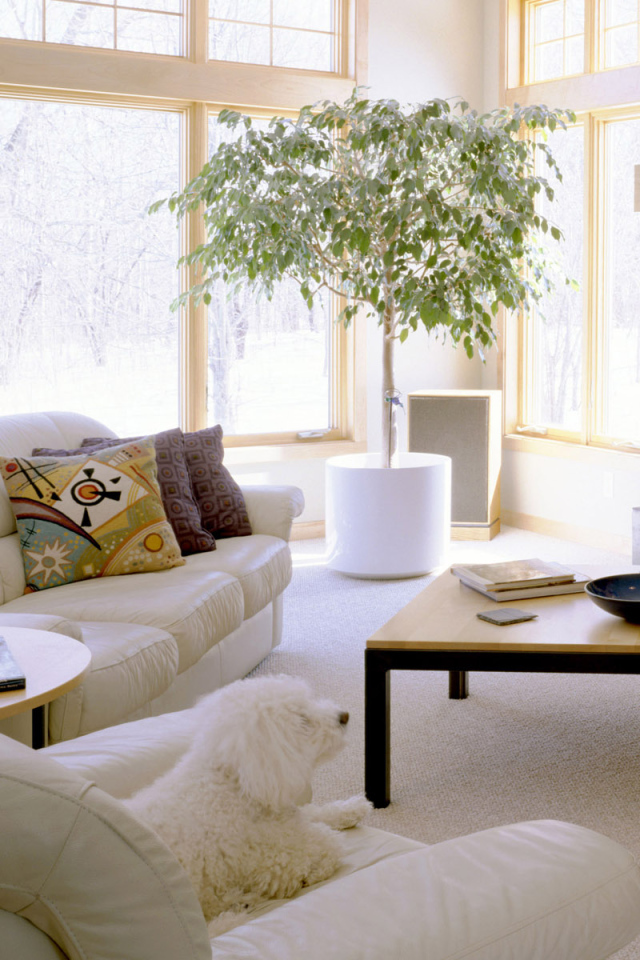 Комната отдыха с иллюминацией