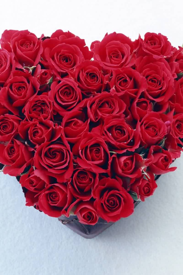 Красное сердце