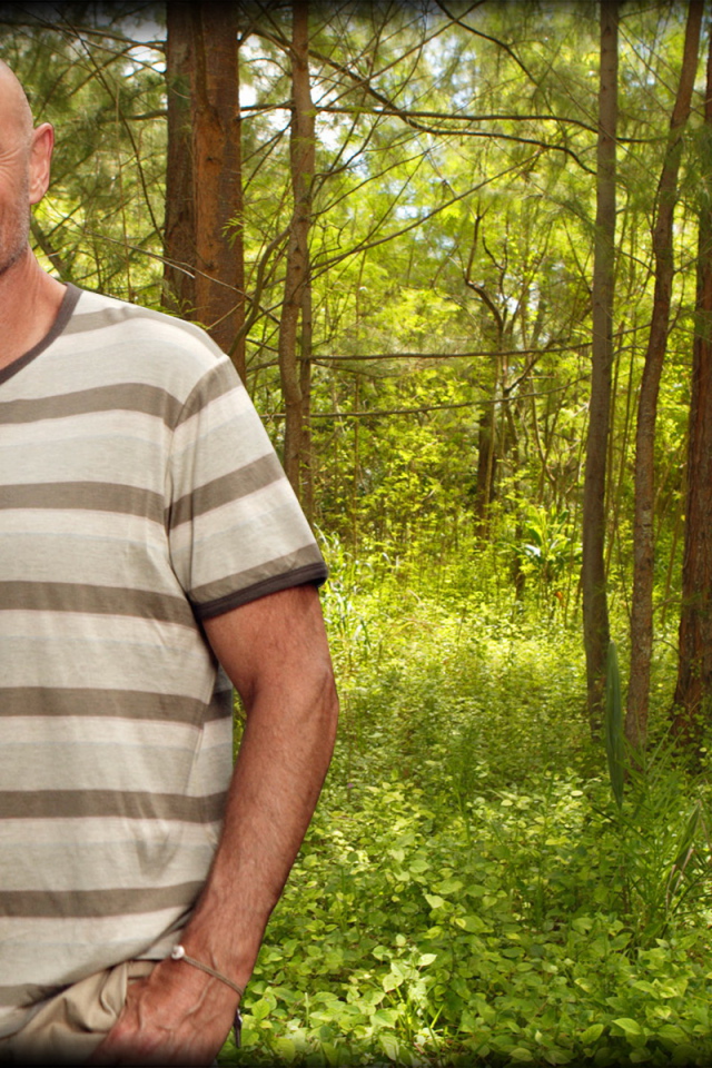 Остаться в живых / Сериал потерянные / LOST / Лок