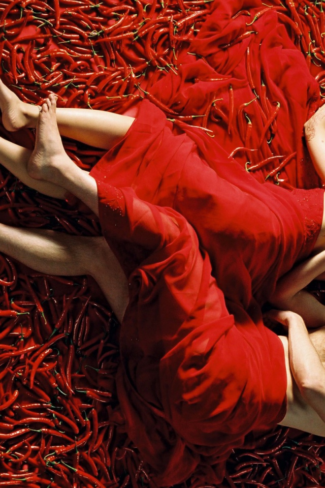 Принцесса специй / Mistress of Spices