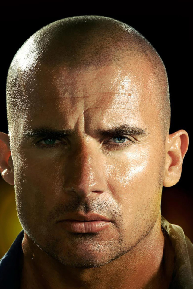 Побег из Тюрьмы 4 сезон / Prison Break 4 season