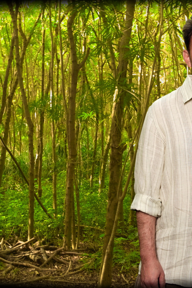 Остаться в живых / Сериал потерянные / LOST / Генри Гейл