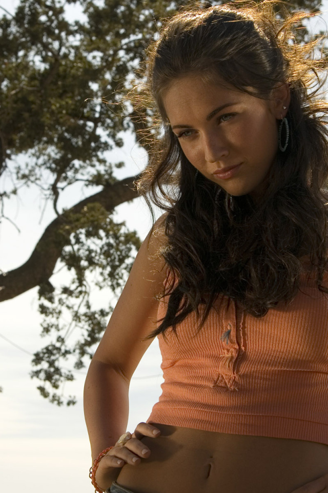 Трансформеры / Transformers