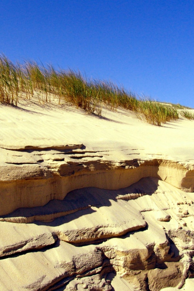 Береговые дюны