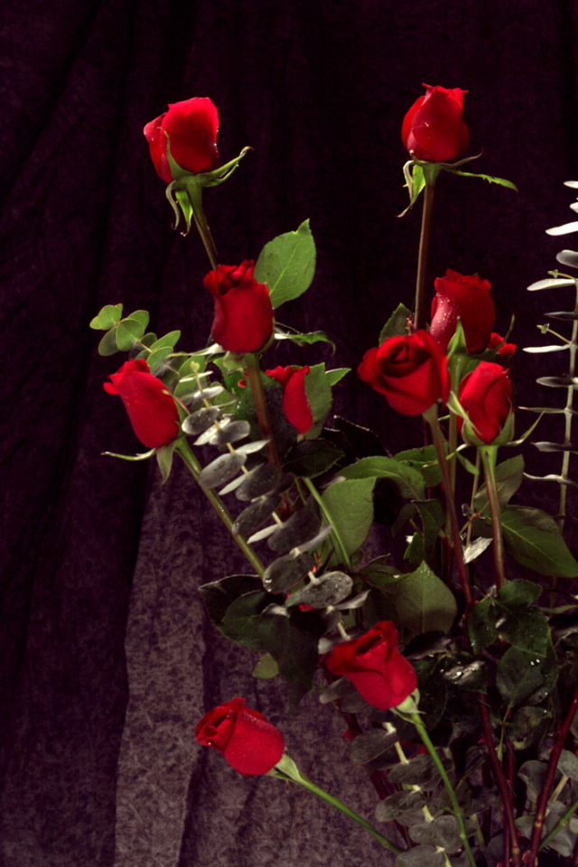 Связка красных роз, Цветов