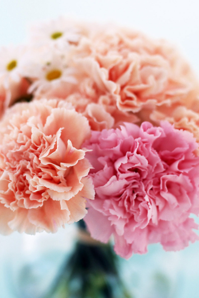 Домашний букет, Цветы