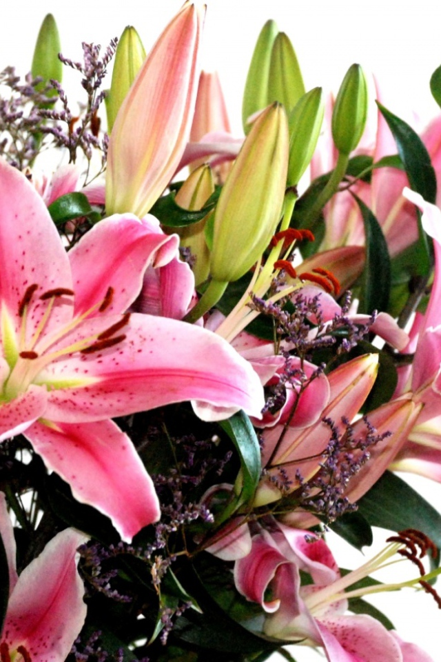 Хороший, Цветы