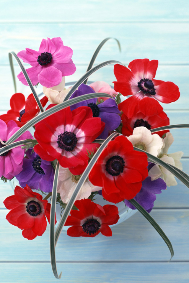 Цветы на стене