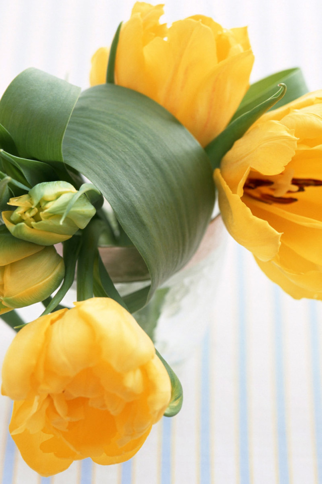 Желтые цветы