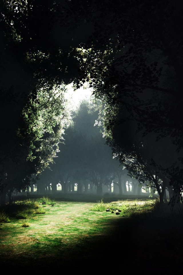 Просвет Темного леса