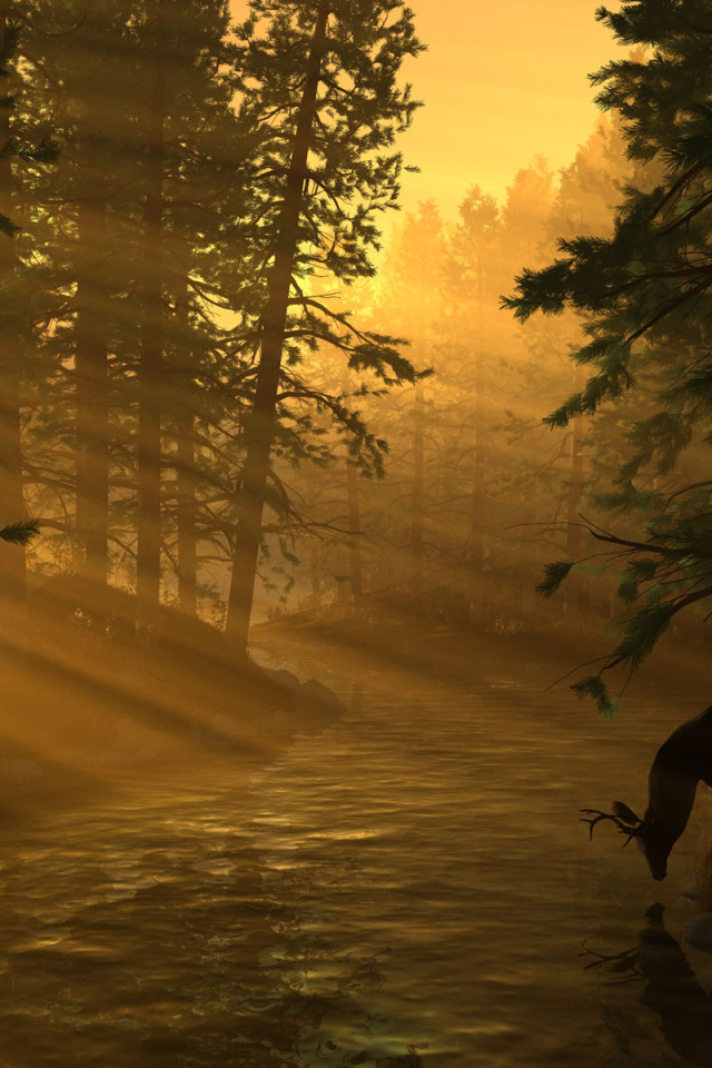 Лесная река