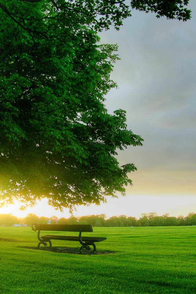 Зеленый парк