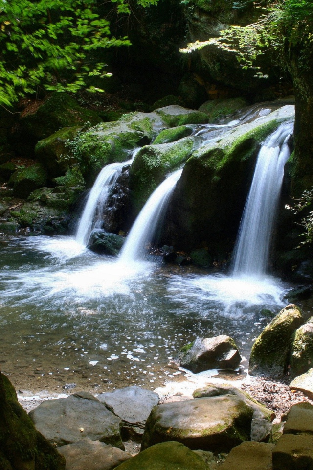 Водопад в лесу
