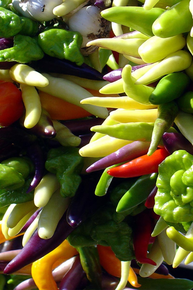 Яркие перцы