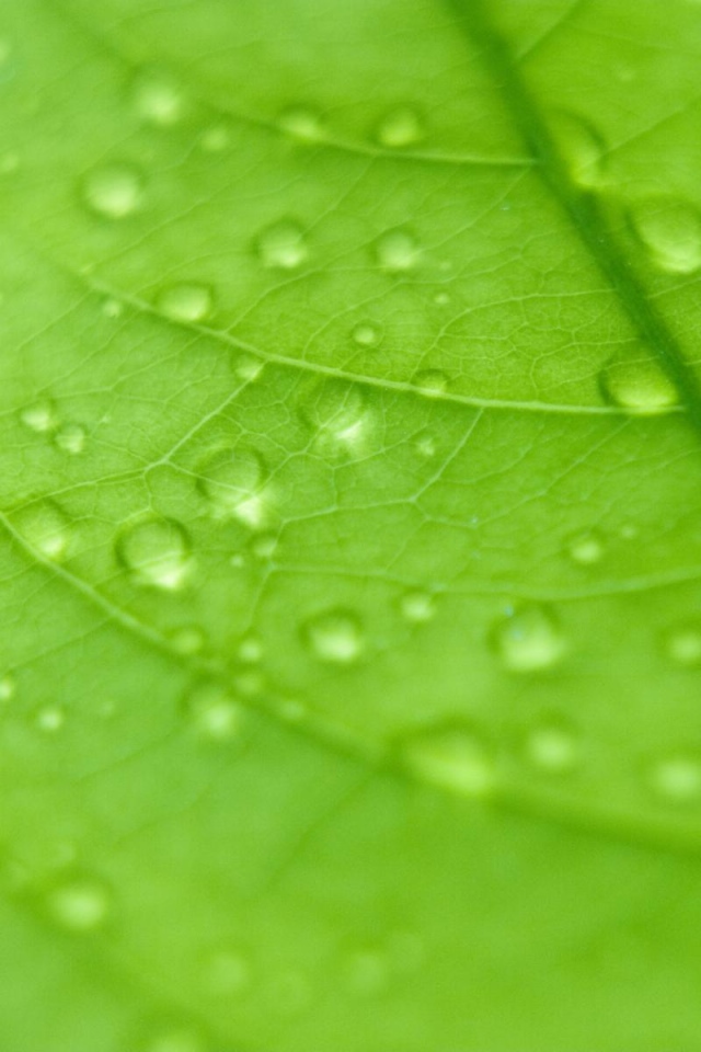 Сбор капель