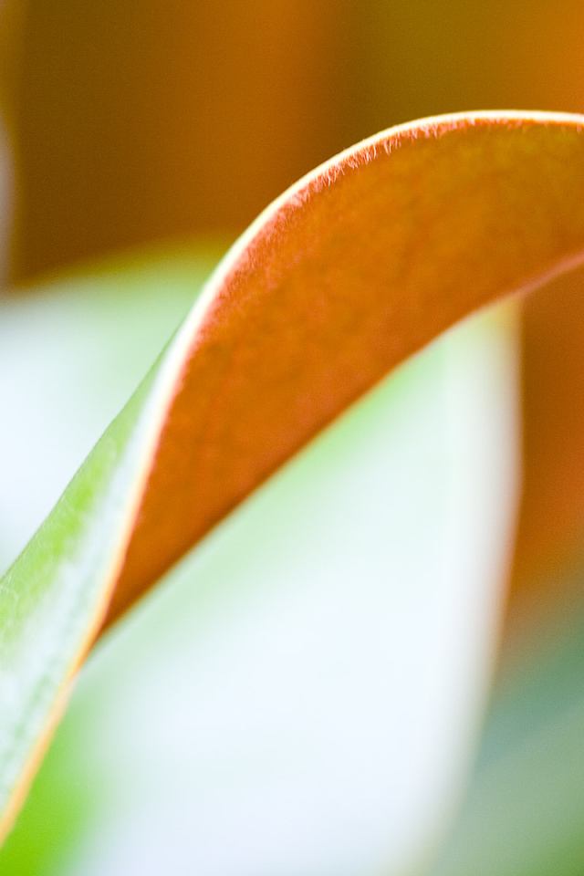 Двойной лист