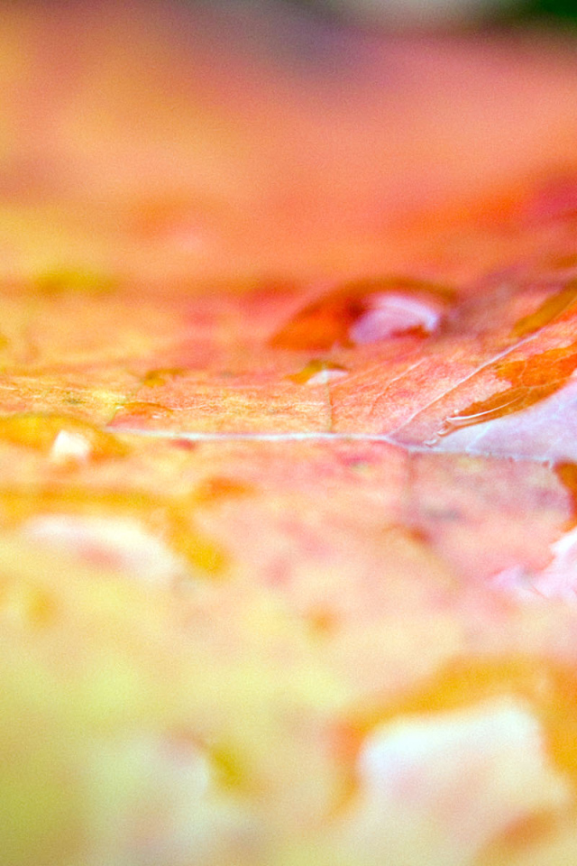 Эффекты листа