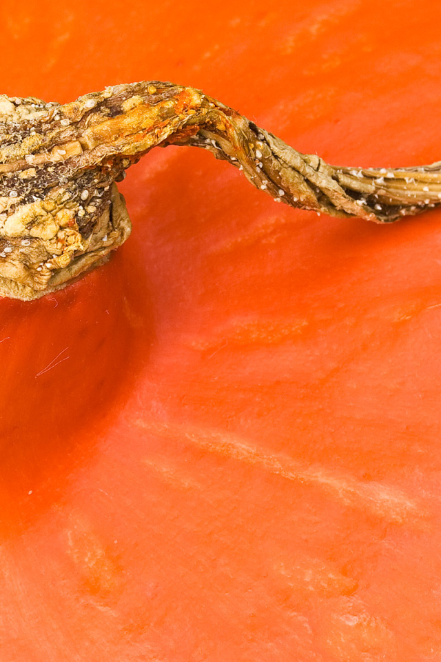 Оранжевая часть тыквы