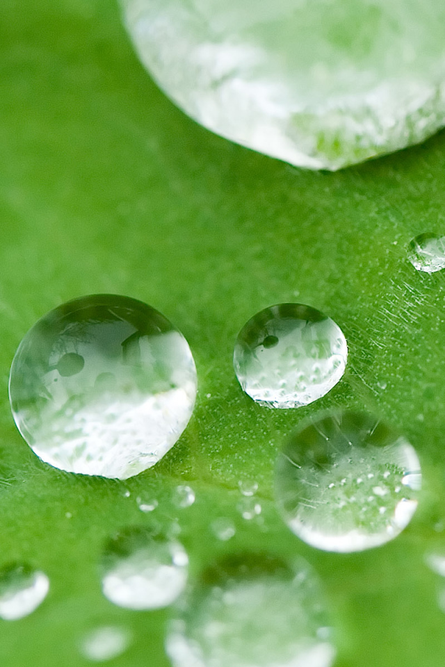 Маленькие водные капли