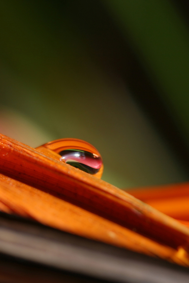 Гладкое Скольжение