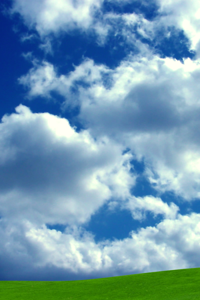 Лучшее счастье